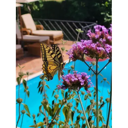 Angeloni Villa *